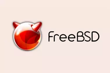 Installing Software with FreeBSD ports
